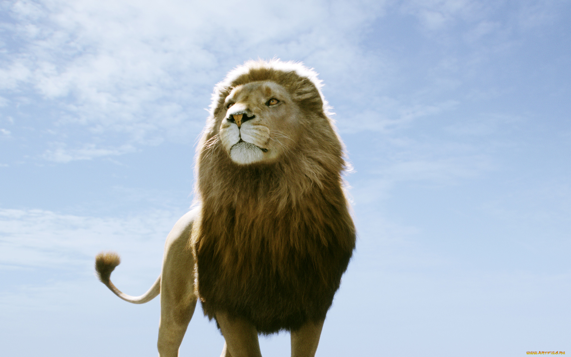 the, chronicles, of, narnia, voyage, dawn, treader, , 